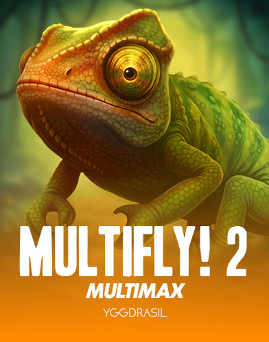 MultiFly! 2 MultiMax