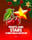 Fruits and Stars Christmas 